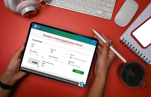 zambia e-visa types
