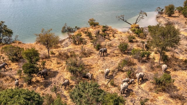 Kafue National Park Slider