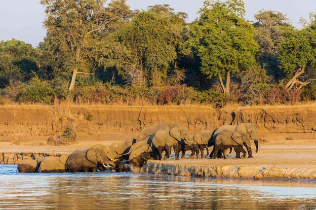 South Luangwa National Park Slider