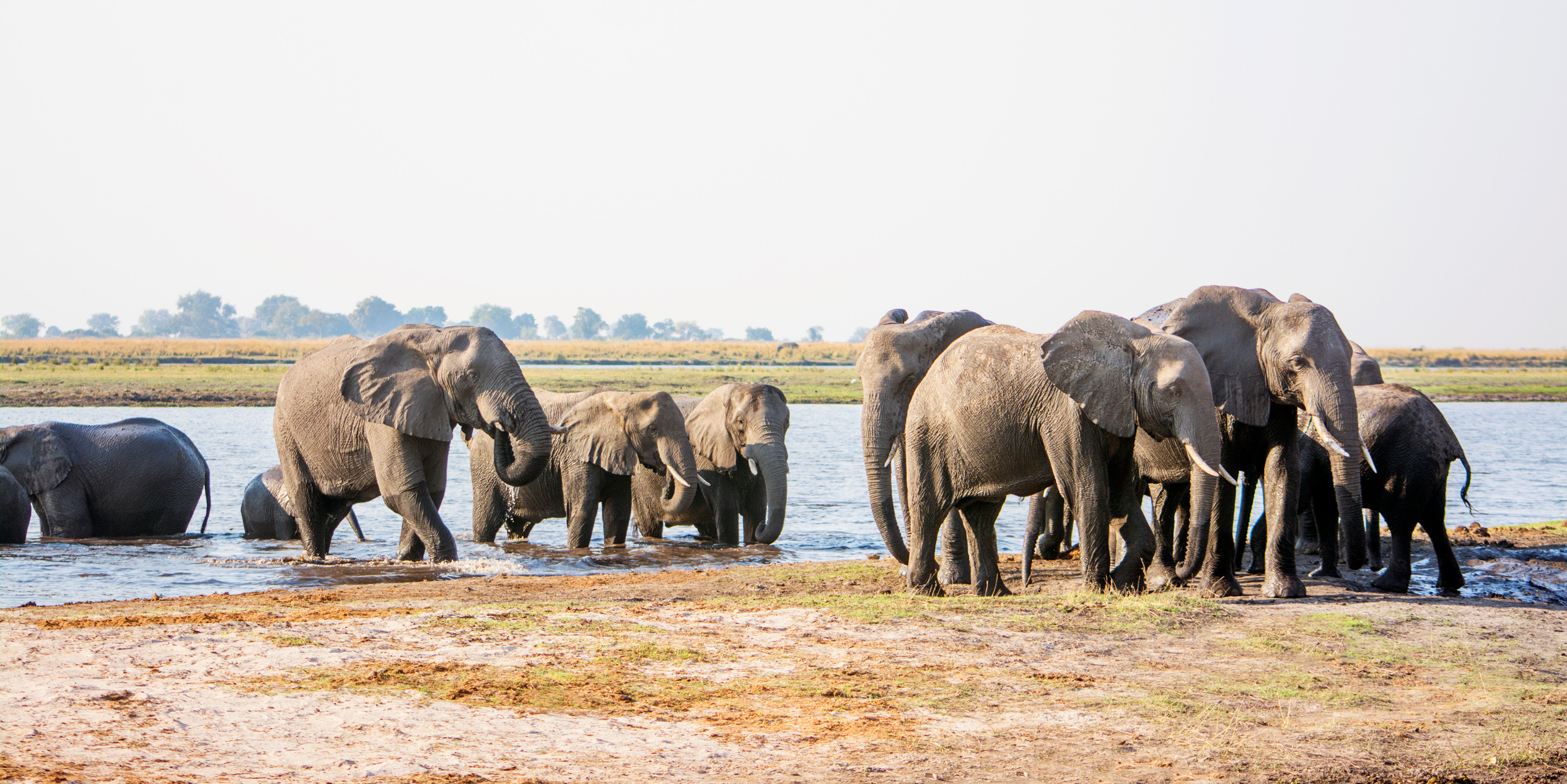 Lower Zambezi National Park