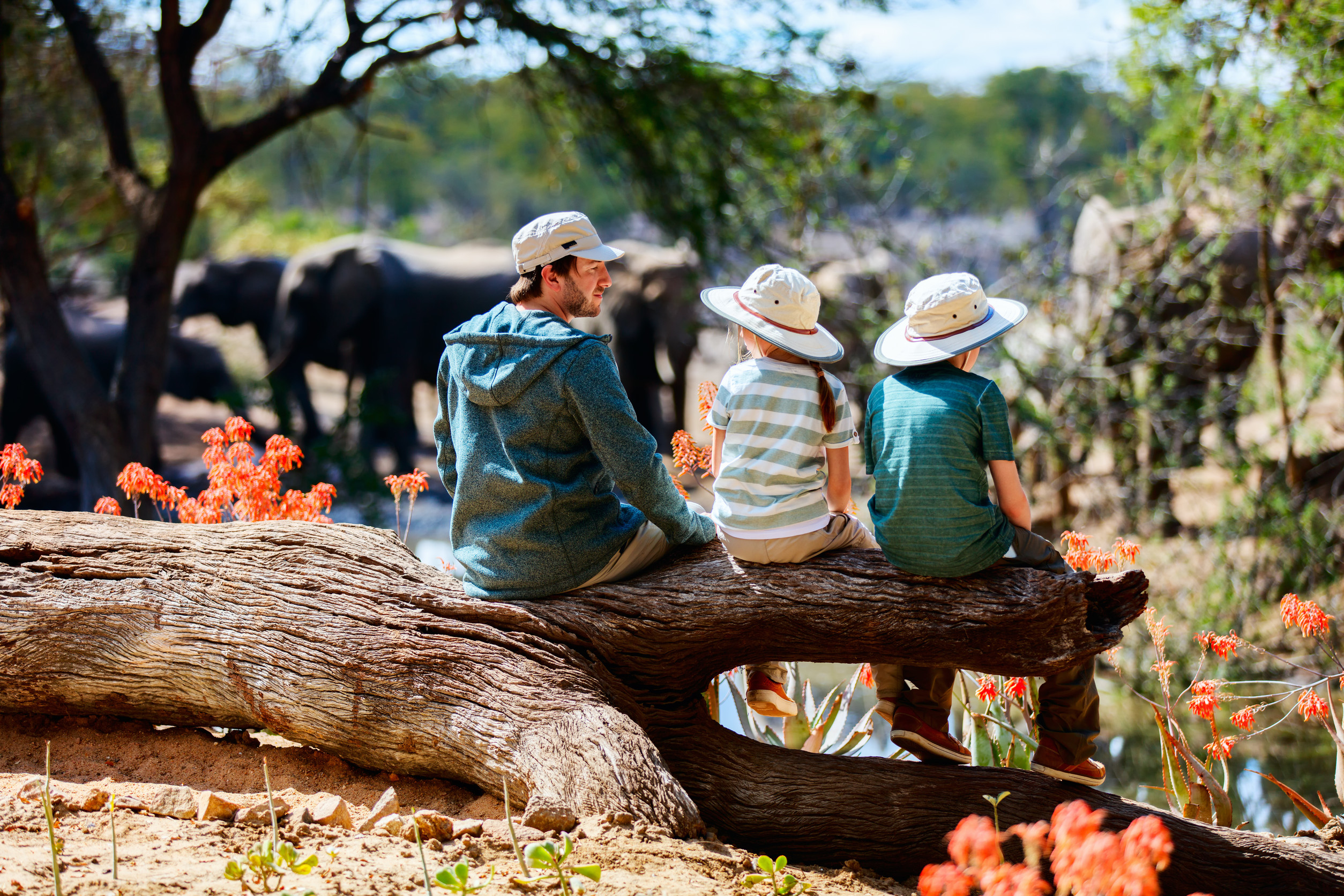 A Closer Look at Zambia: Rich Culture