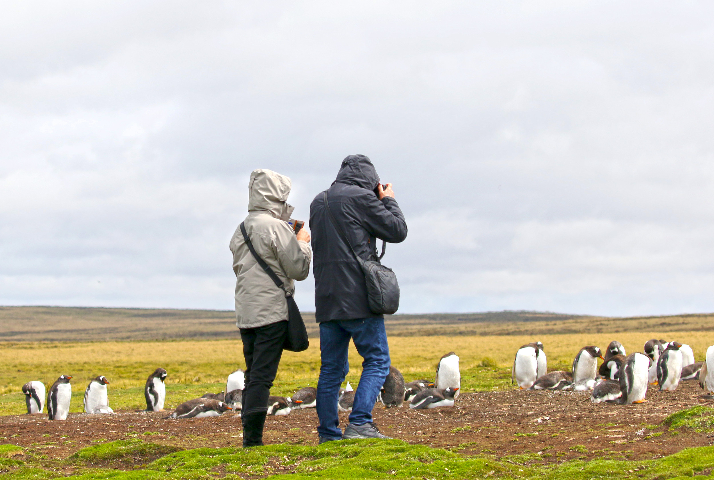 Birding Safaris