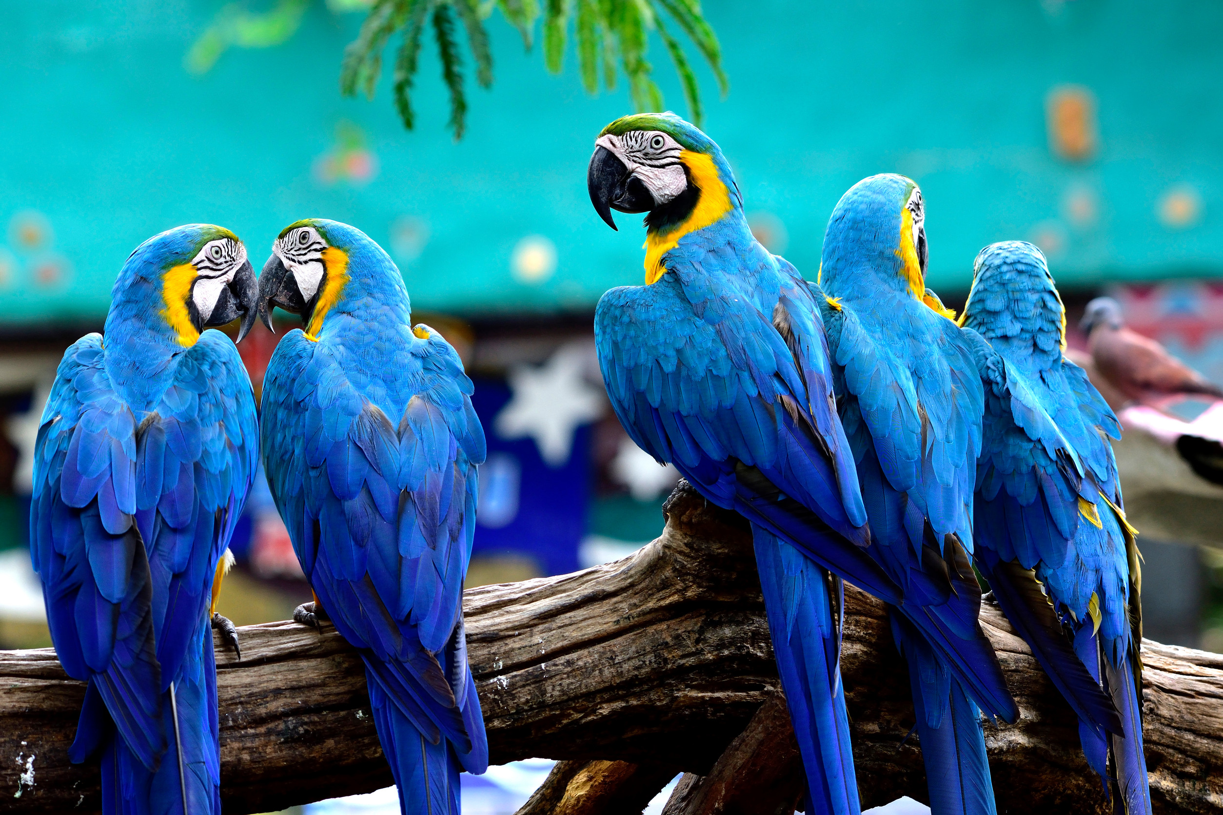 Blue Lagoon National Park: A Seasonal Spectacle