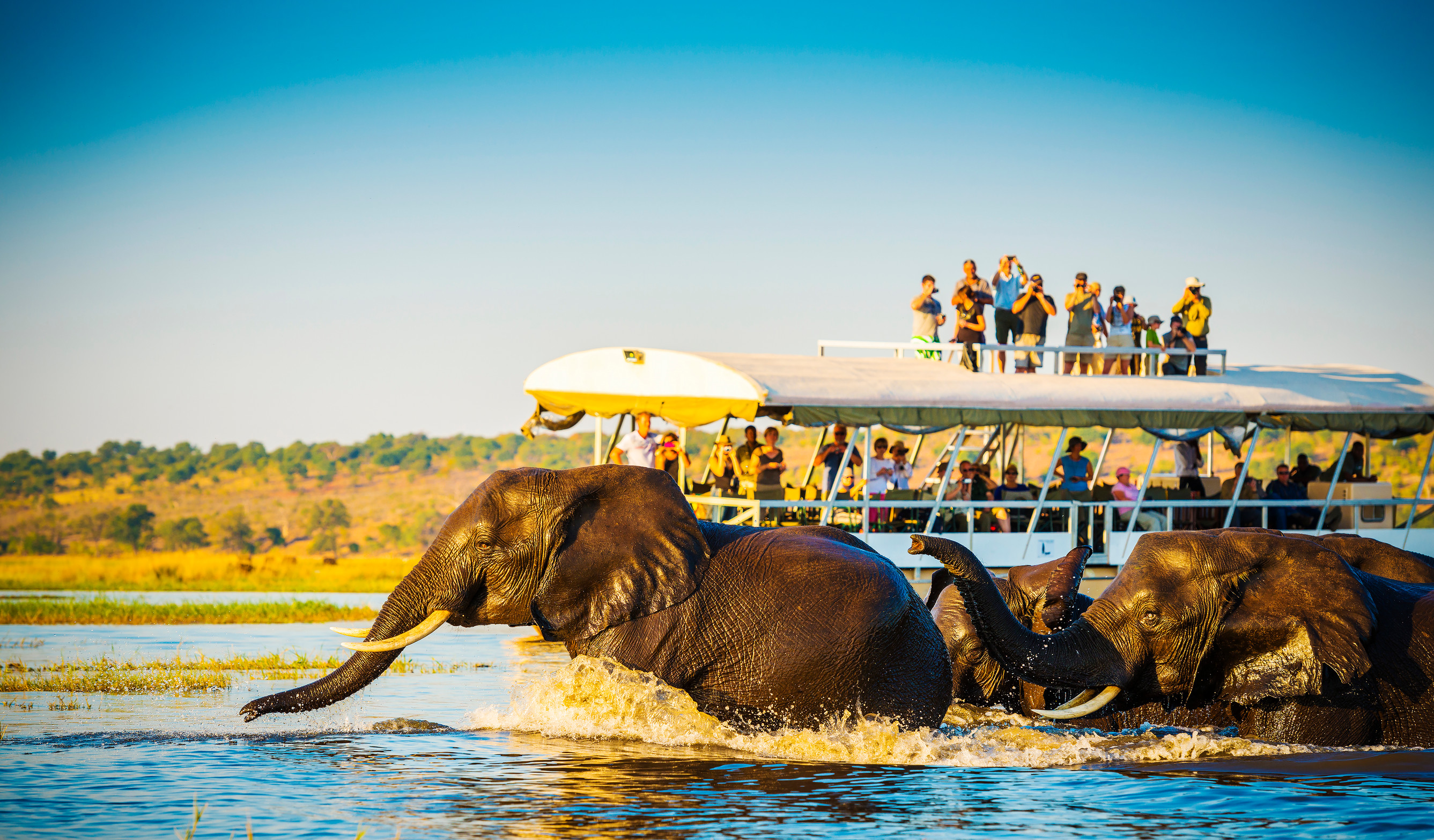 Canoeing Safaris