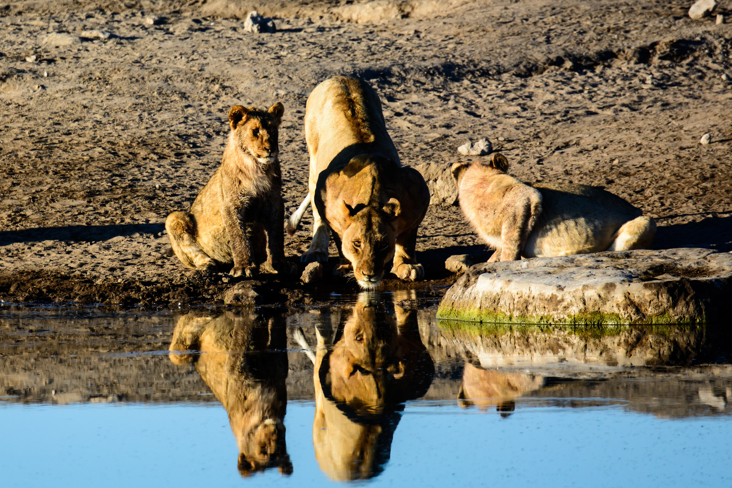 Dry Season: May through October