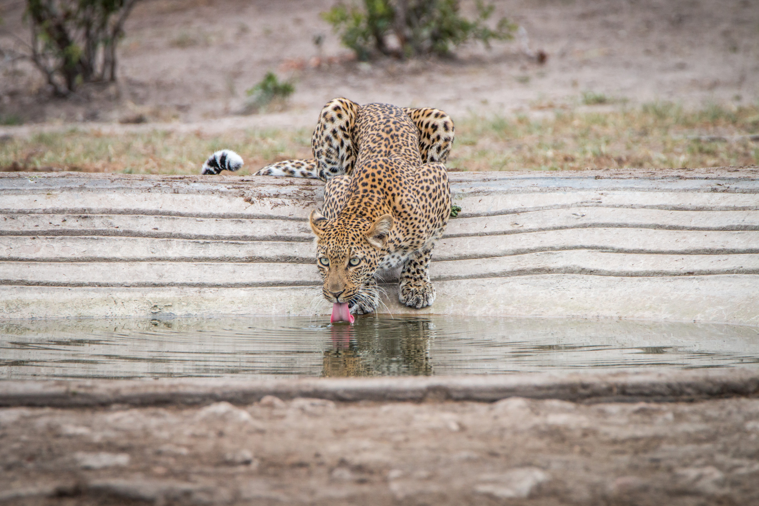 Excited To Visit Zambia