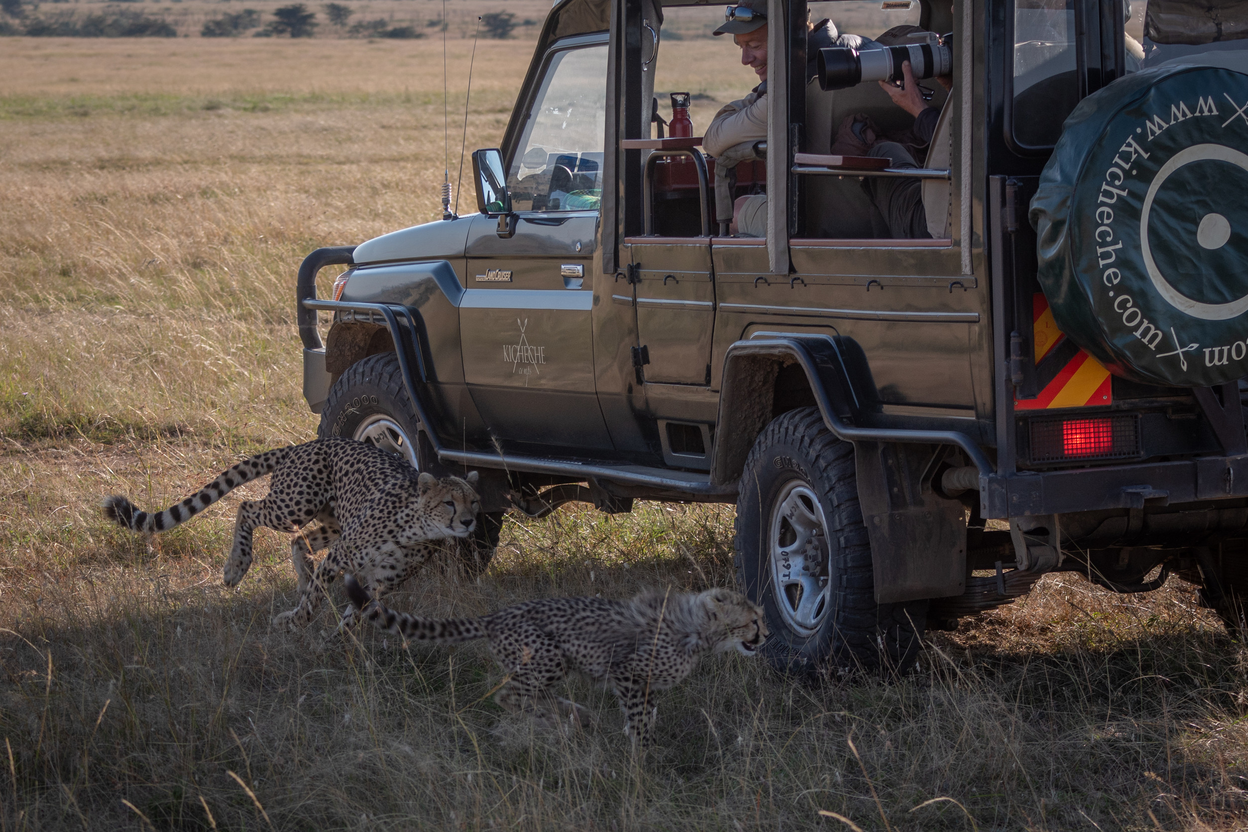 Walking Safari in South Luangwa