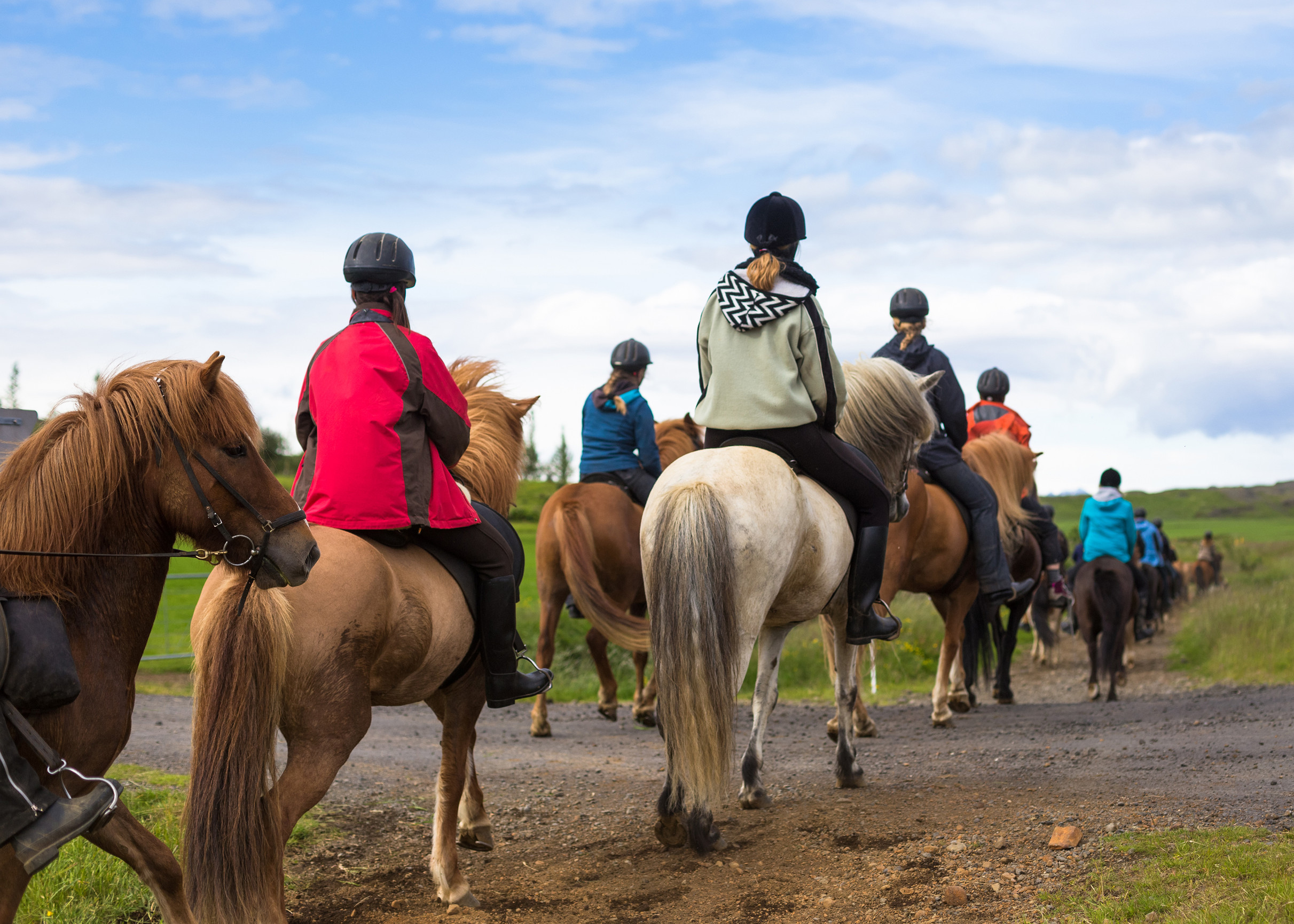 Horseback Trail