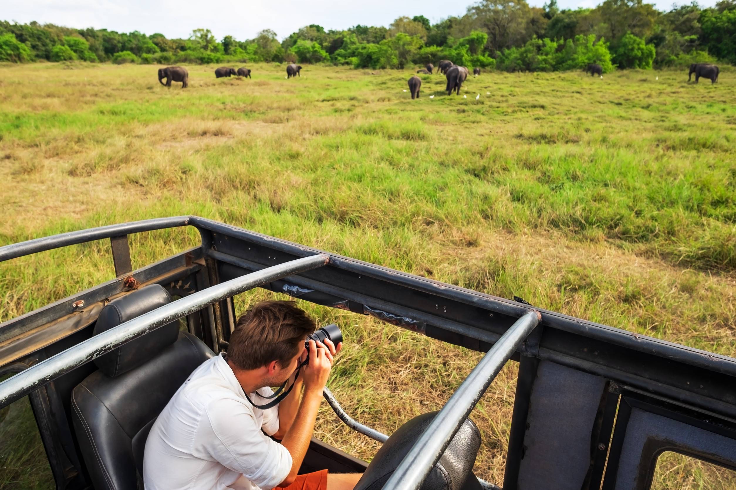 caucasian man in white shirt making photos of elephant herd during safari in national park
