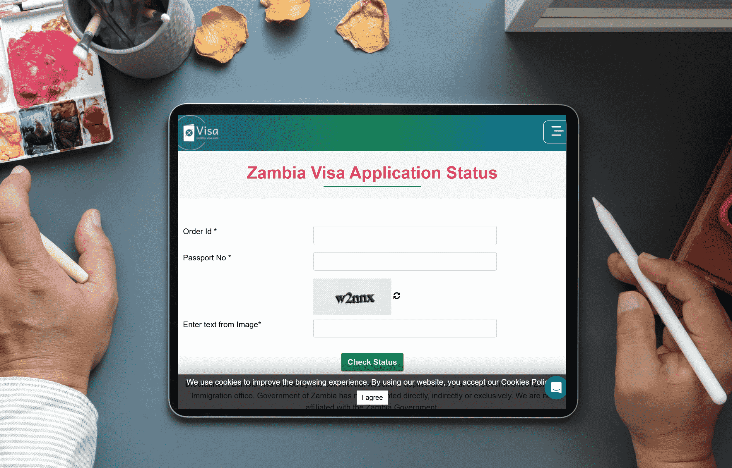 zambia e visa status
