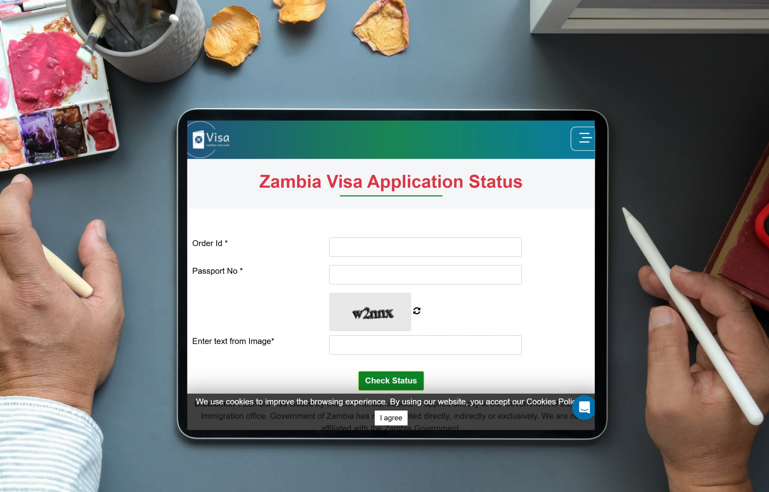 Zambia E-visa Status