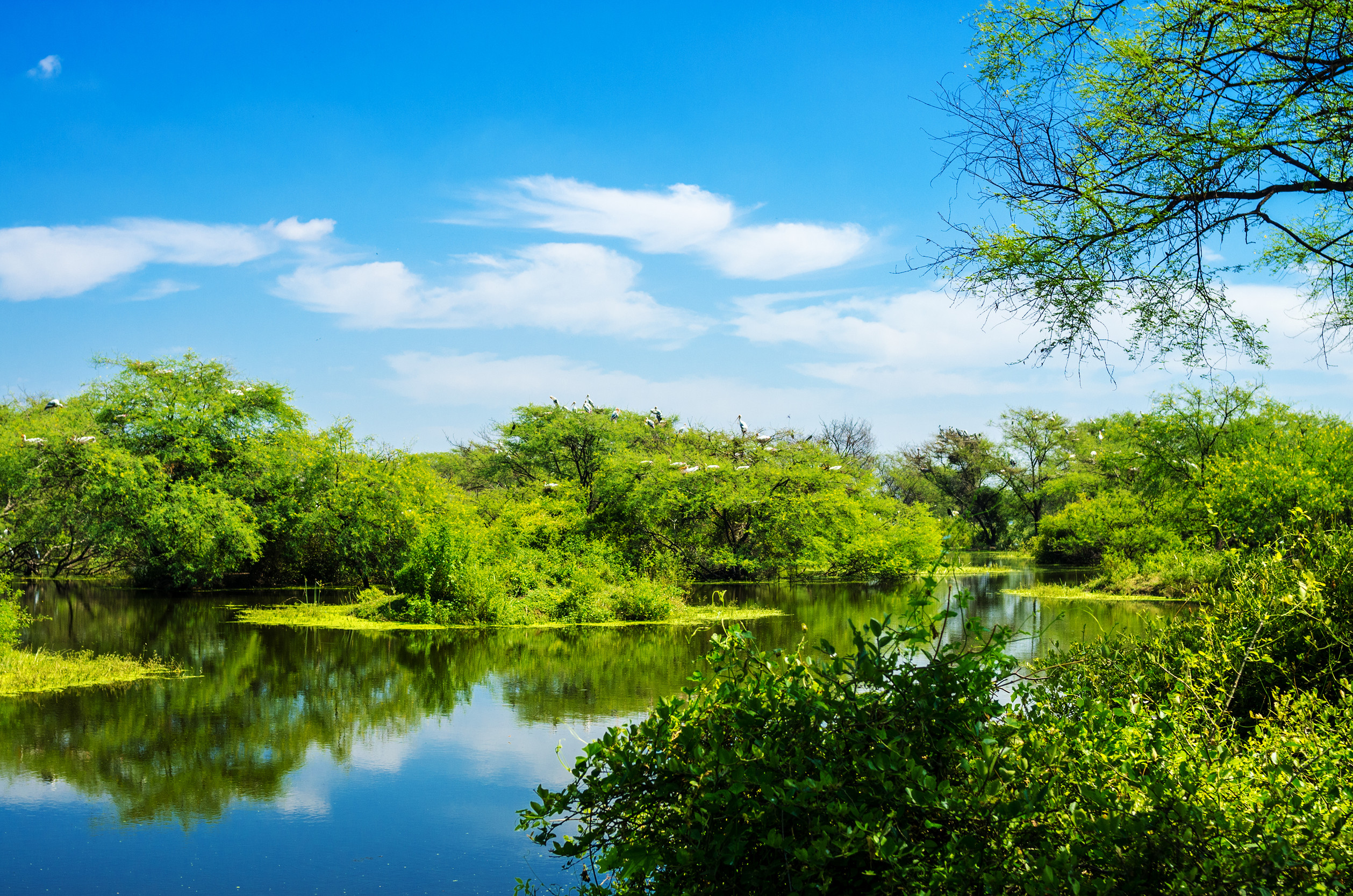 January to April: The Green Season