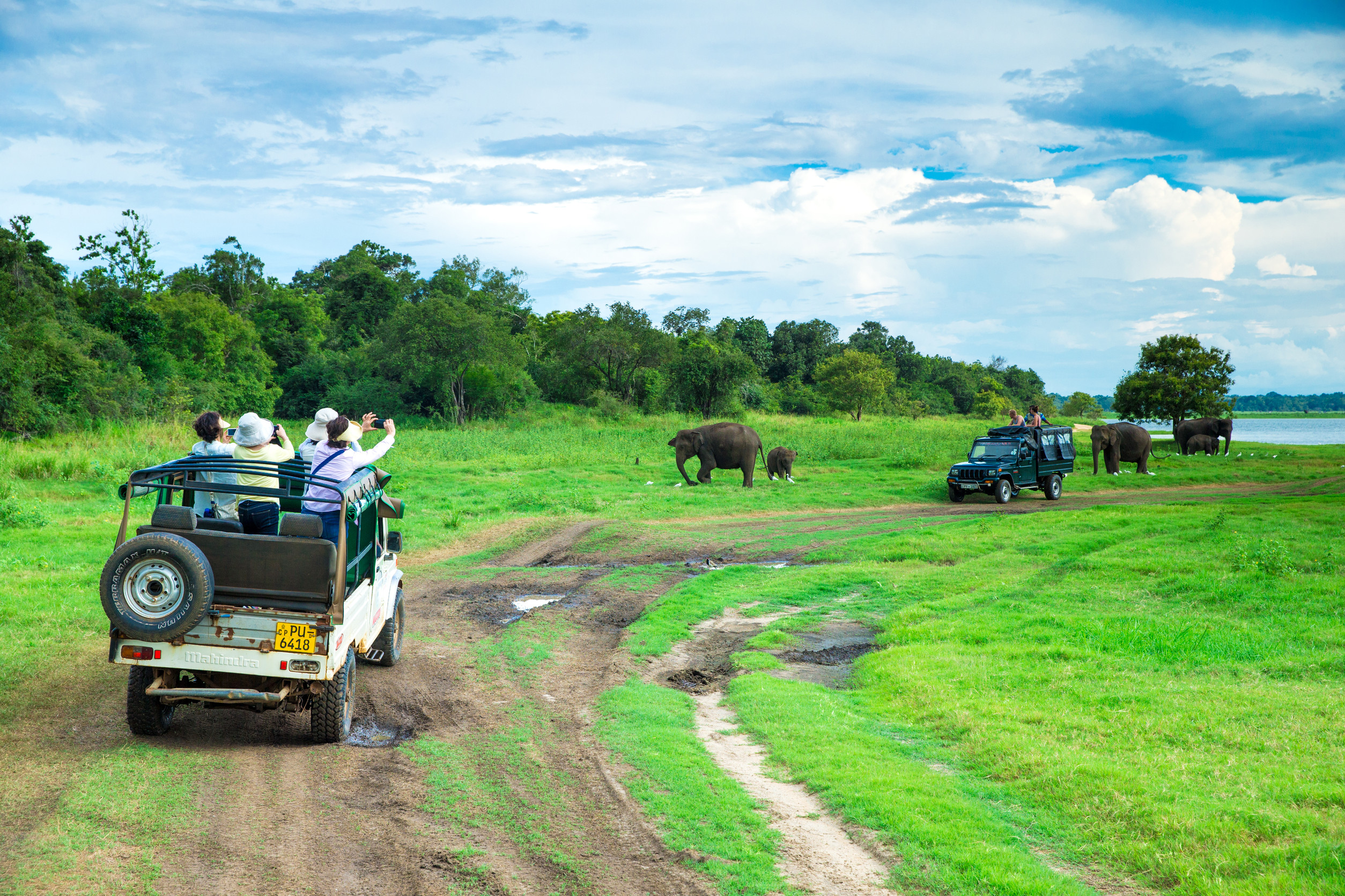 Kafue National Park: Zambia’s Oldest and Largest