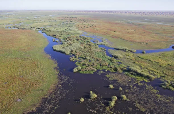 Lake Bangweulu