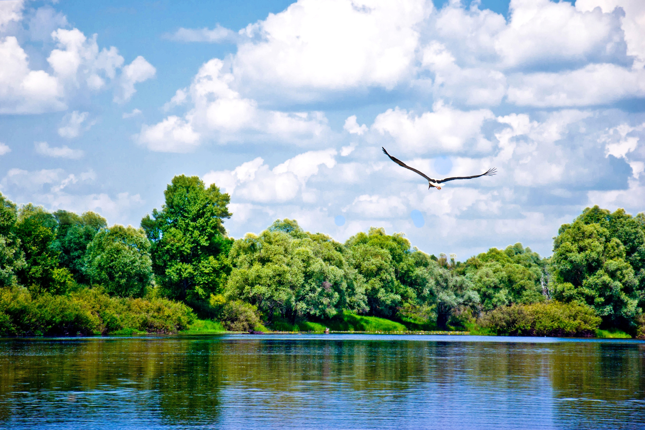 Lake Tanganyika: Nature’s Aquatic Playground