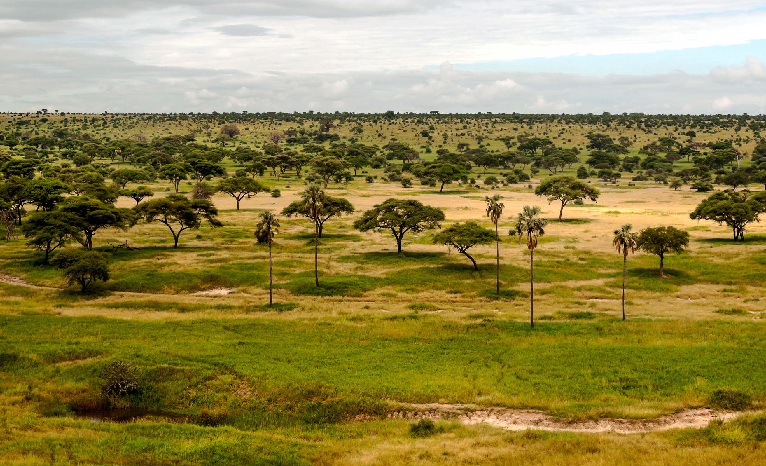 May and June: Where the Dry Season Takes Hold