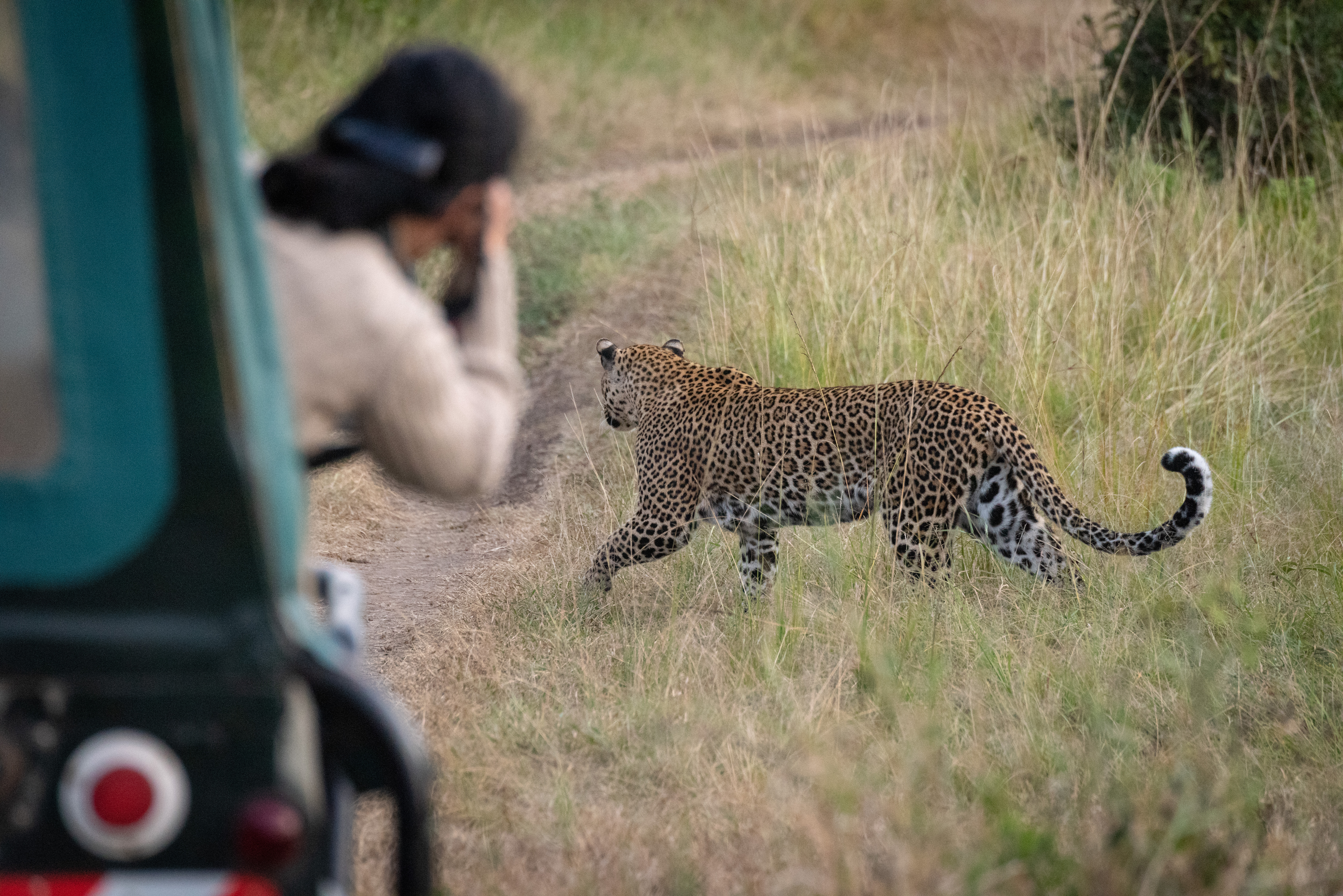  A photographer taking photos in Zambia