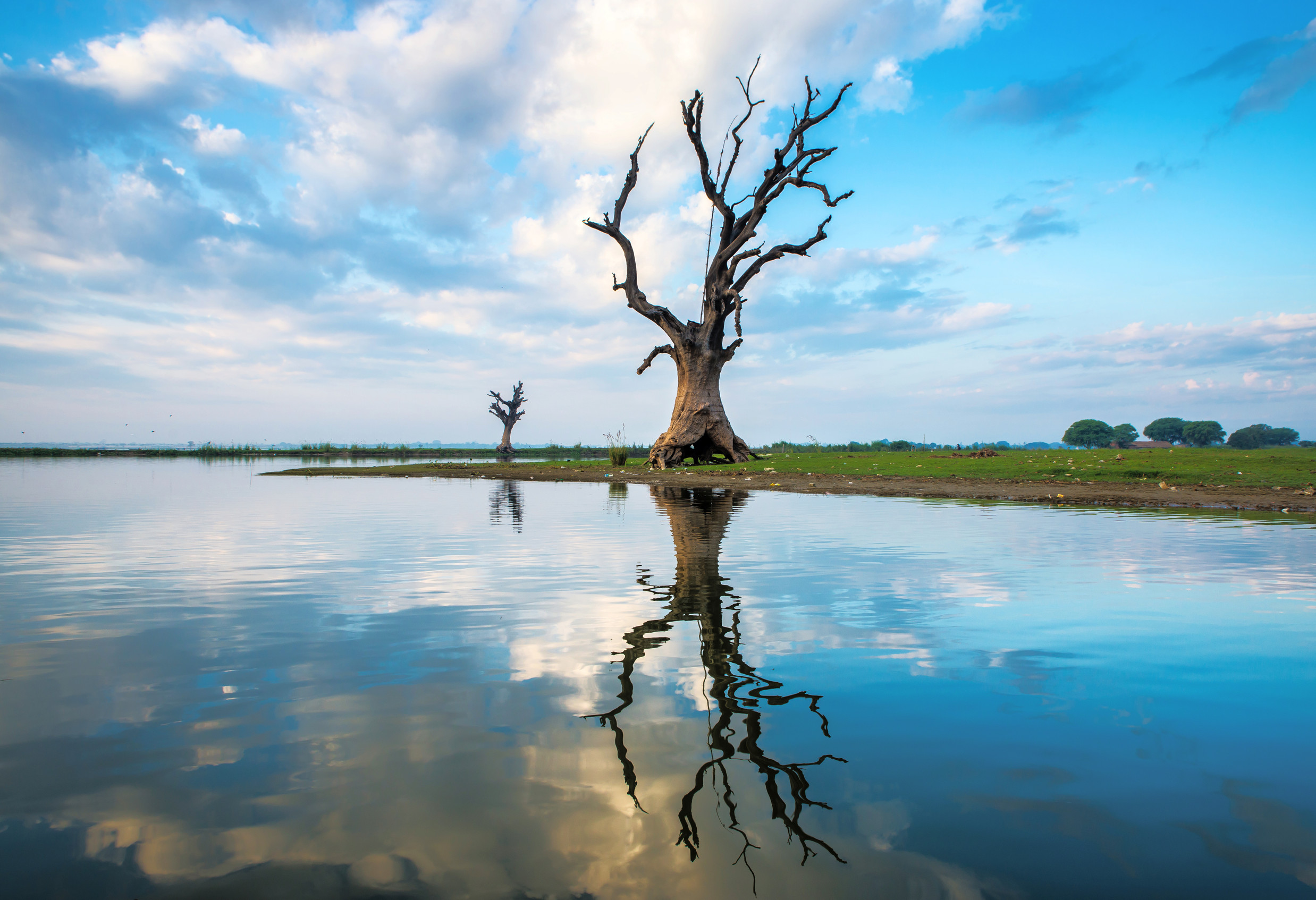 The Kafue River: A Haven for Wildlife