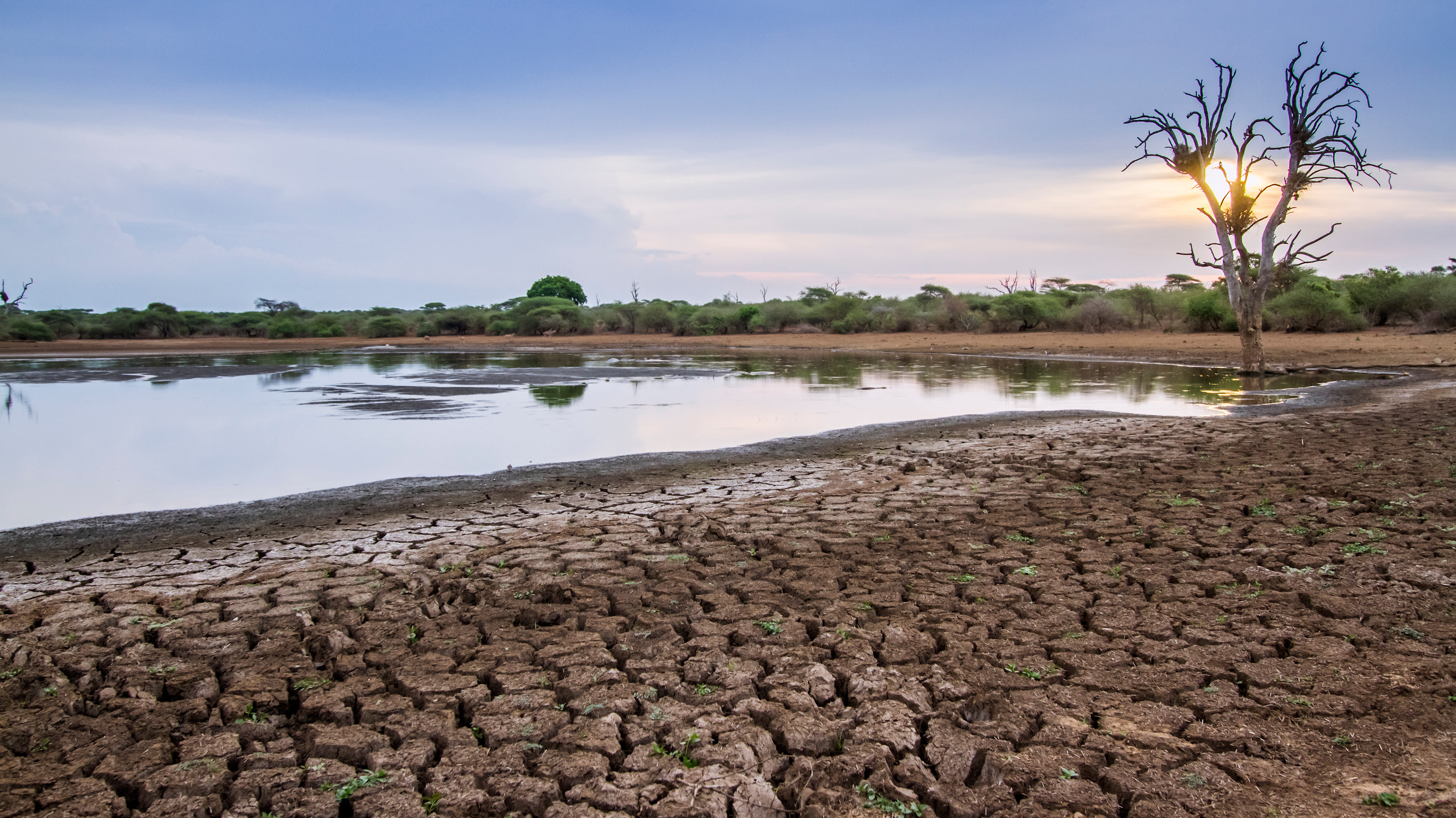 Why Visit Zambia in the Dry Season