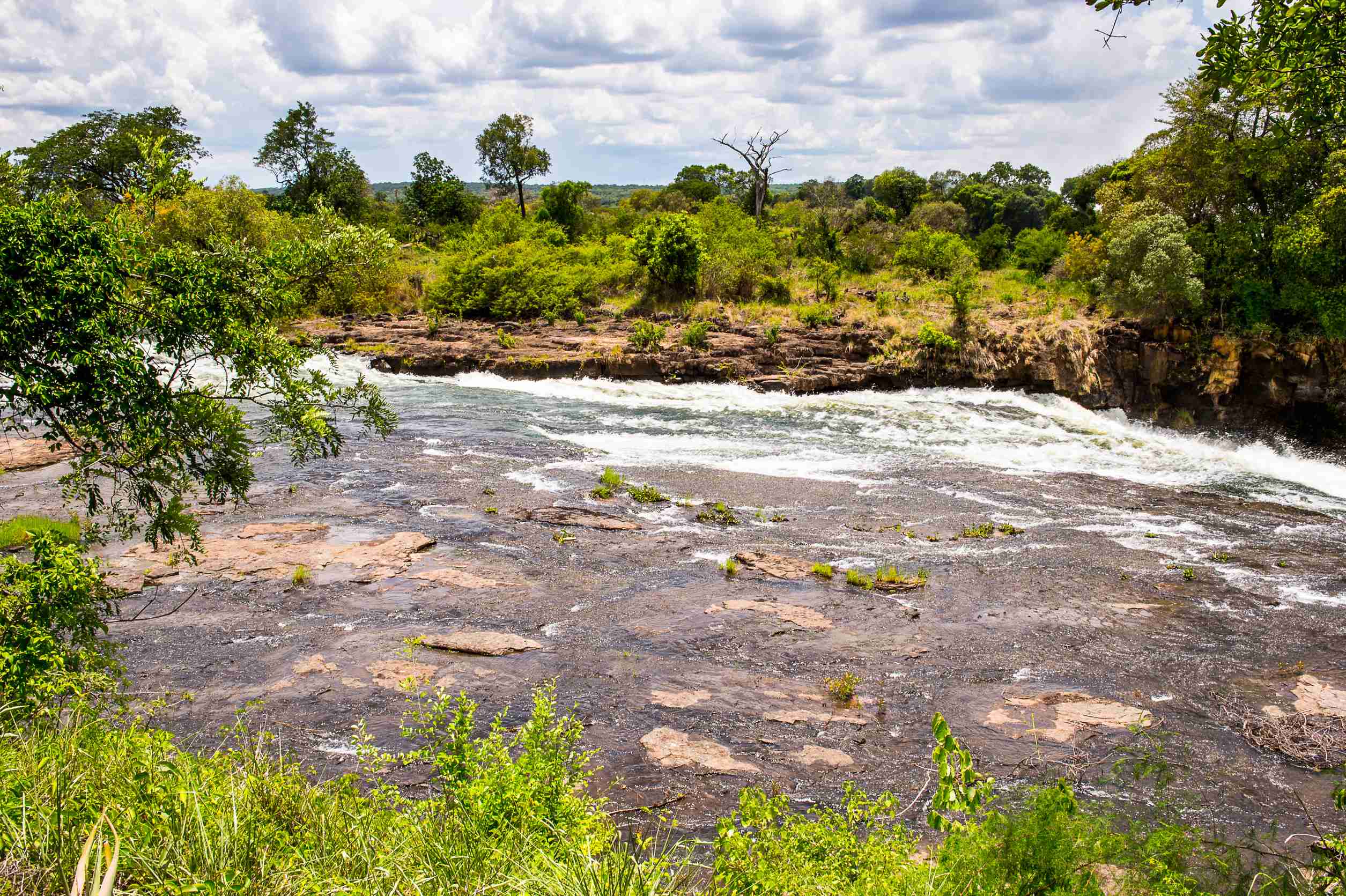 Zambezi River Near The Victoria Falls Boarder Of Zambias