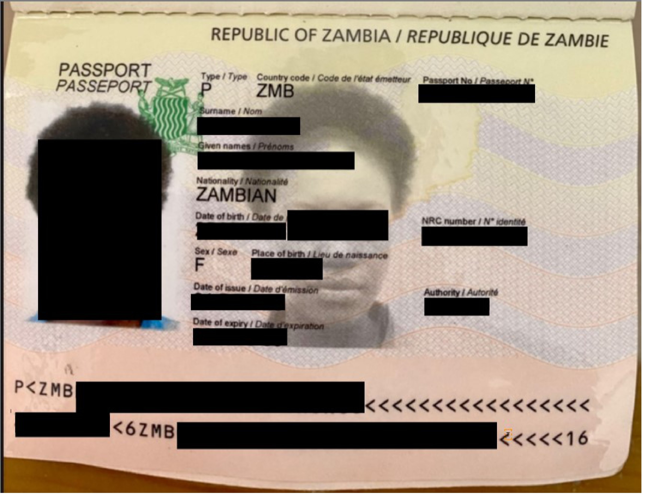 Zambia E-visa photo requirement